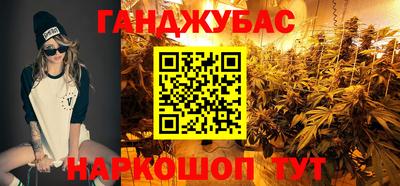 сатива Бузулук