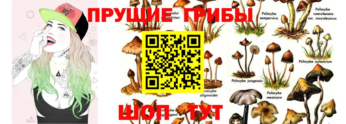 Галлюциногенные грибы ЛСД Ливны