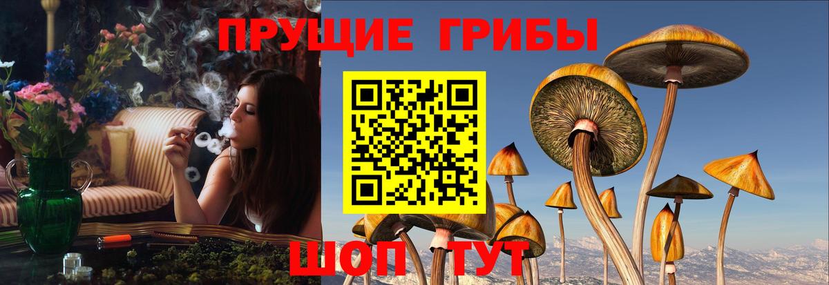 Ливны  Галлюциногенные грибы мухоморы  продажа наркотиков  Вход с VPN 