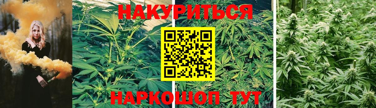 Шишки марихуана сатива  Бошки марихуана Bruce Banner  Канабис White Widow  Вход с VPN  Конопля индика  Ливны 